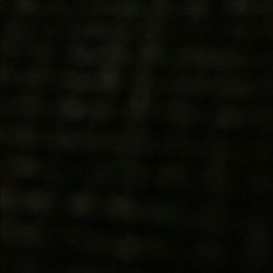 Meet your Posher, Randall